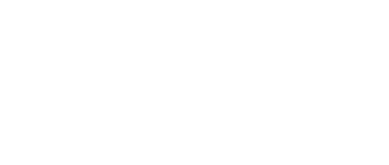 Logo eines Kunden von Delusion