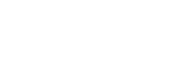 Logo eines Kunden von Delusion